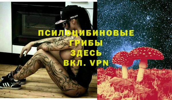 соль ск Володарск