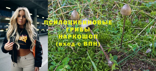 соль ск Володарск