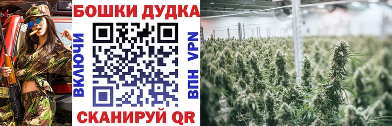 Купить  Приволжский  Бошки Шишки OG Kush 